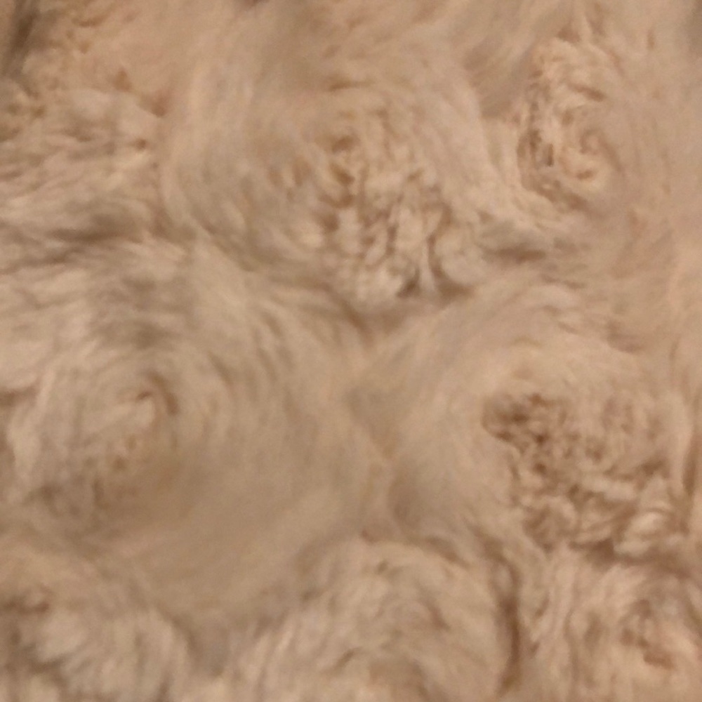 Jessica Simpson Ivory Coat - Picture 7 of 10